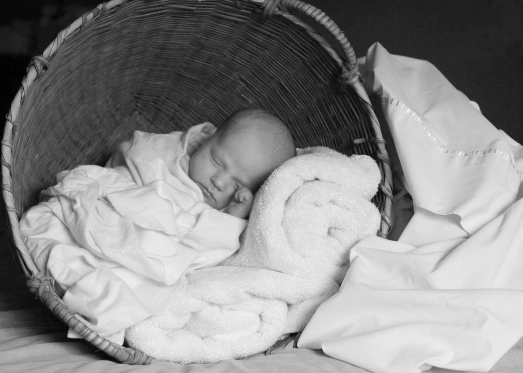 baby, portrait, basket, pose, black and white