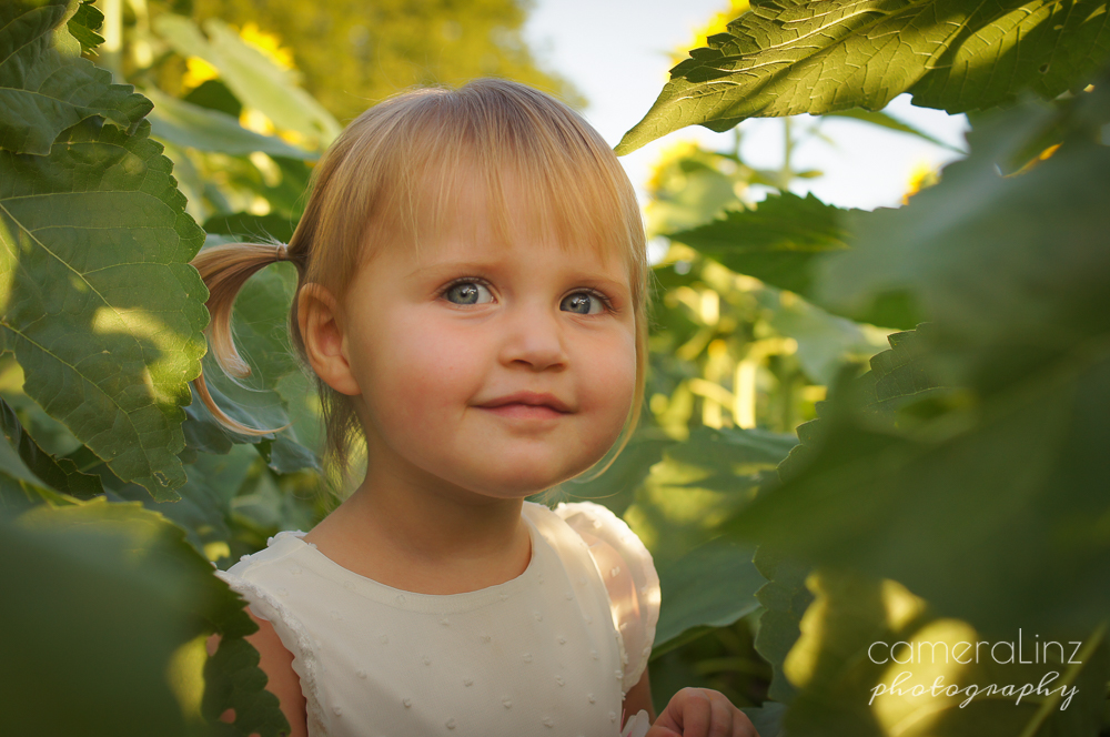 lawrence kansas photographer